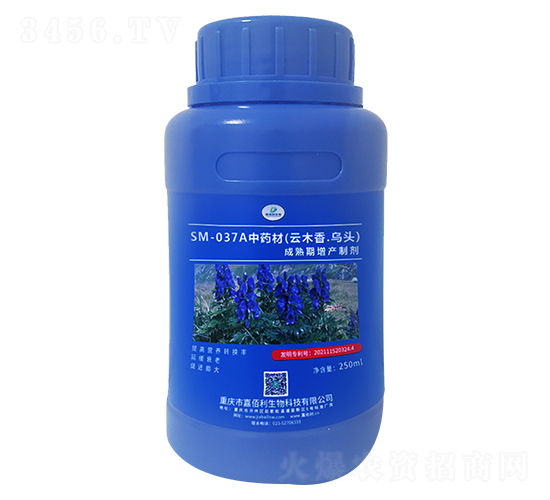 SM-037Aˎľ^a(chn)Ƅ250ml-ΰ